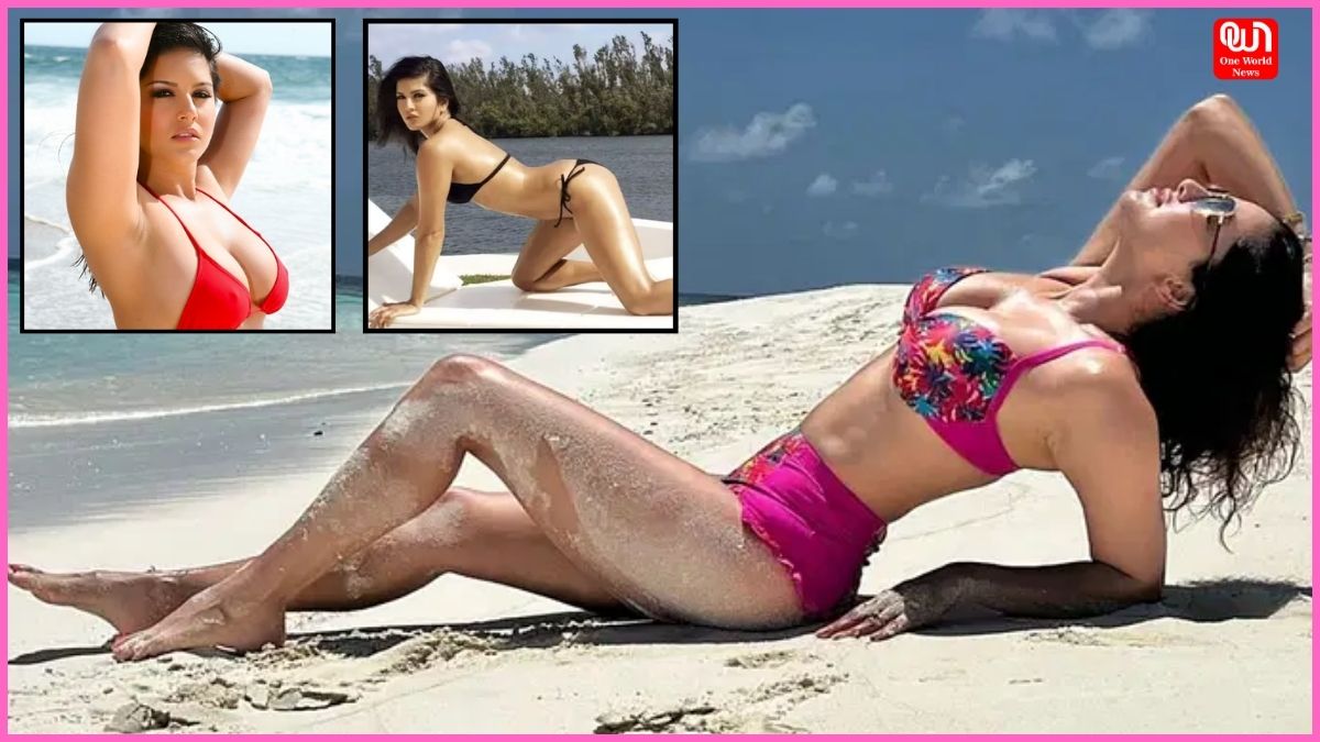 Sunny Leone Sexy Videos: ये हैं बॉलीवुड एक्ट्रेस सनी लियोन के हॉट वीडियोज, सेक्सी बदन देख बेकाबू हो जाएंगे आप, हटाए नहीं हटा पाएंगे अपनी नजरें 1 Sunny Leone Sexy Videos