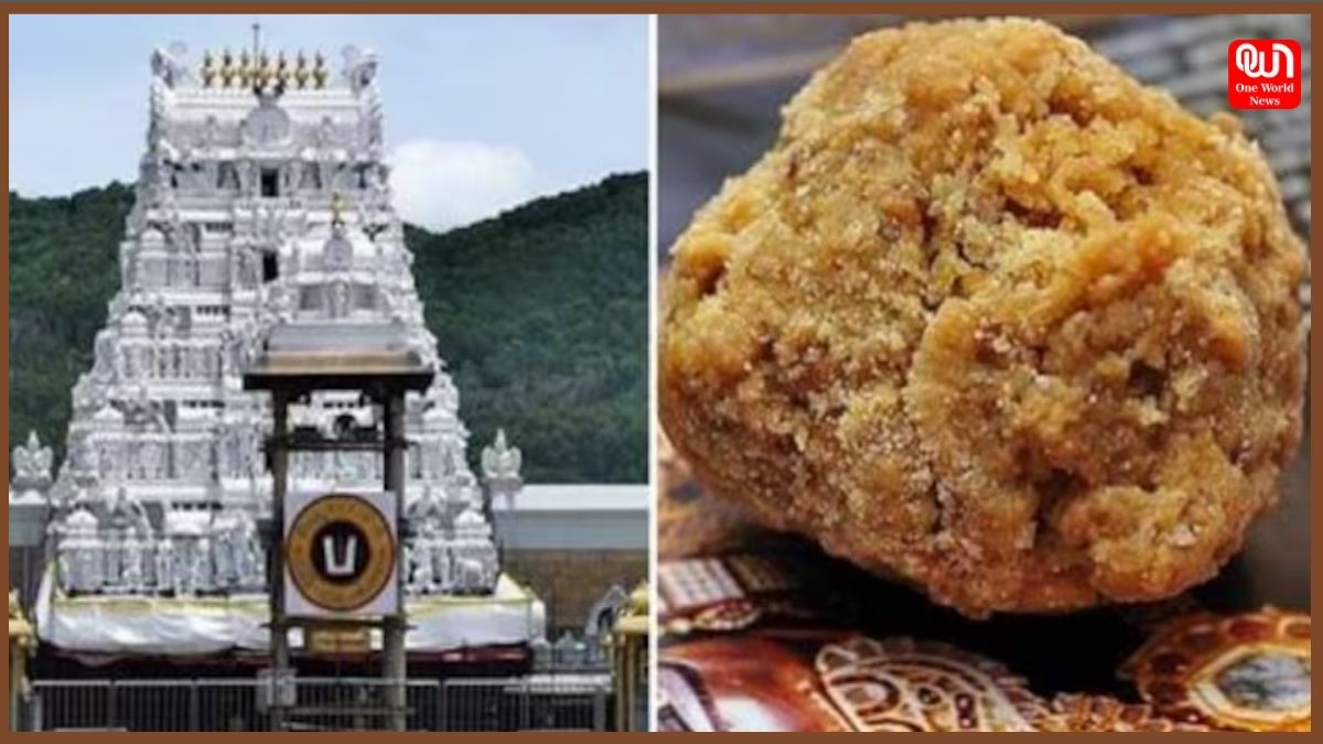 Tirupati Laddu Case: लैब रिपोर्ट आने के बाद आंध्र प्रदेश के CM चंद्रबाबू नायडू ने लिया बड़ा एक्शन, बोले- किसी को नहीं बख्शा जाएगा 1 Tirupati Laddu Case