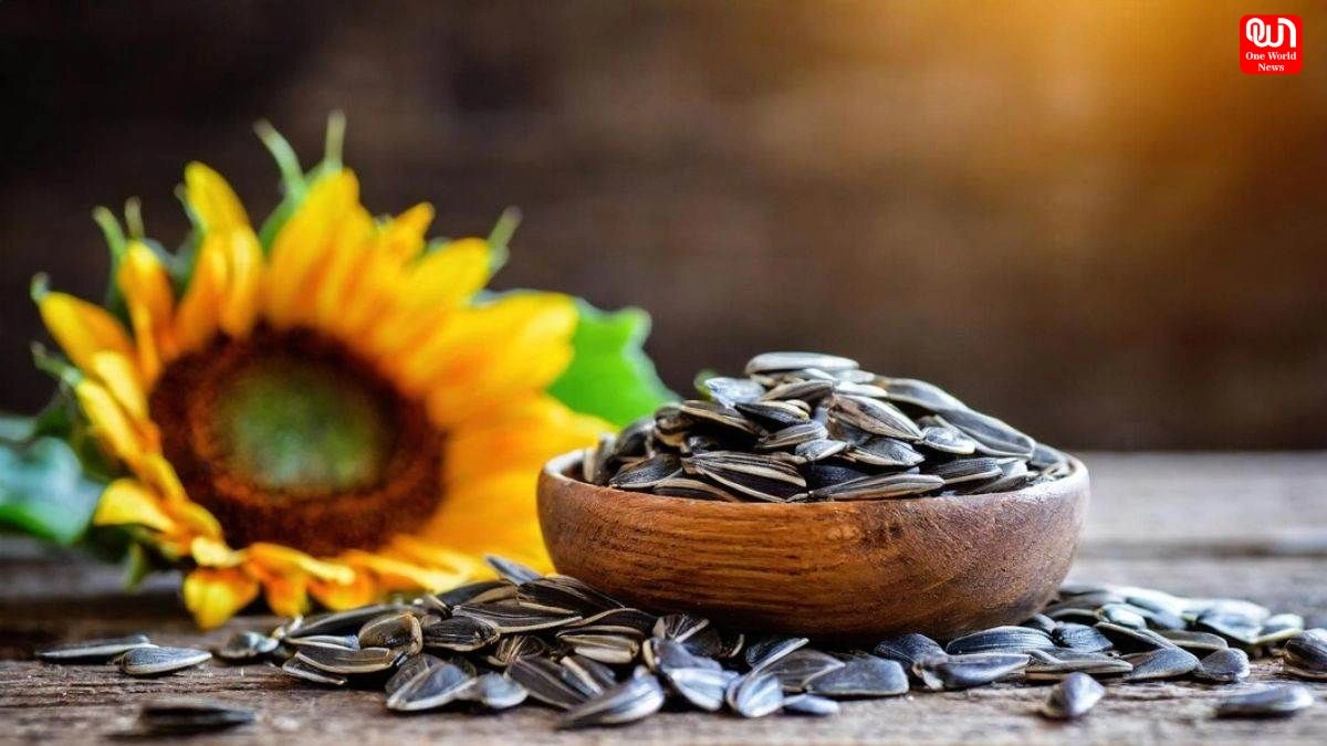 Sunflower Seeds : रोजाना खाएं सूरजमुखी के बीज, पाएँ सेहत के ये 4 अद्भुत फायदे 1 Sunflower Seeds