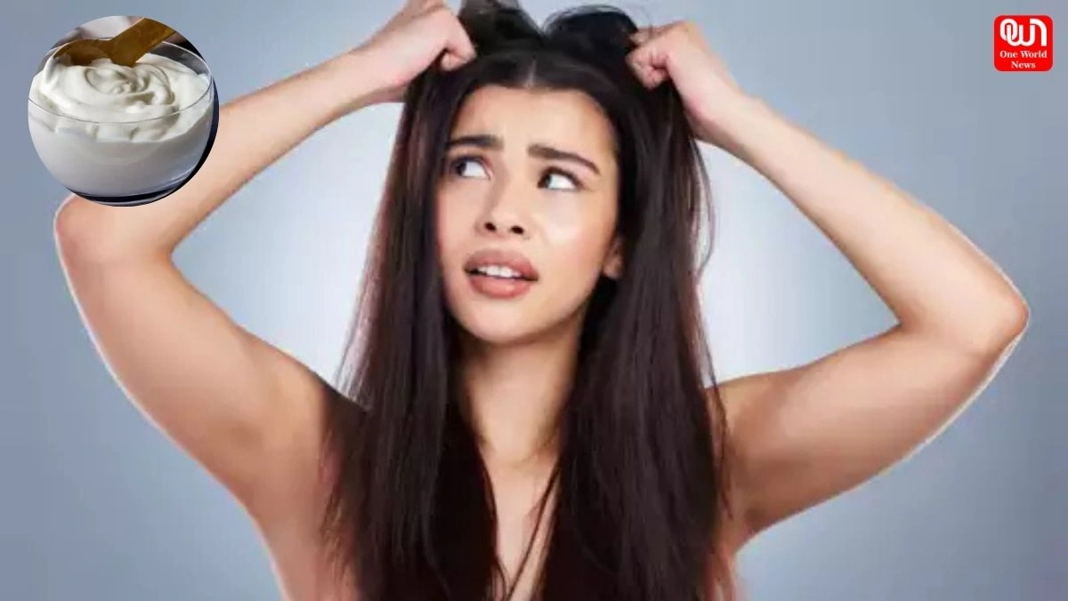 Silky Smooth hairs : बिना पार्लर जाए पाएं शानदार बाल, रोहित सचदेवा ने बताया मेयोनीज का फॉर्मूला 1 Silky Smooth hairs