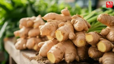 Ginger Benefits