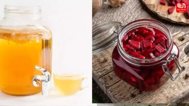 Kanji Drinks for winters: सर्दियों में इन 6 प्रकार की कंजी का करें सेवन, इम्यूनिटी होगी मजबूत और गट हेल्थ में सुधार 4 Kanji Drinks for winters