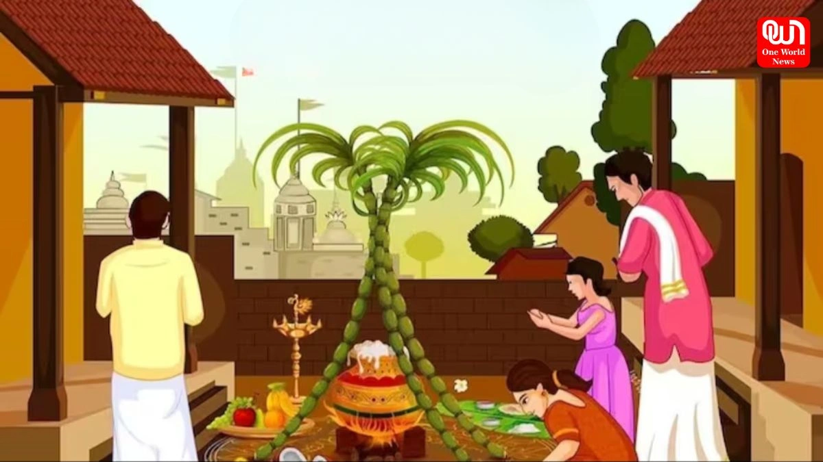 Pongal Festival: एक उत्सव जो सूर्य को धन्यवाद अर्पित करता, जाने कैसे मनाया जाता है पोंगल 1 Pongal Festival