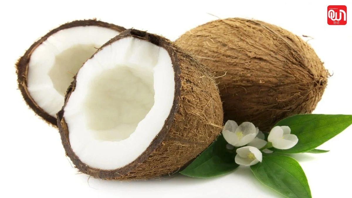 Coconut Benefits: नारियल के 4 बड़े फायदे, जानने के बाद रोजाना खरीदने से खुद को रोक नहीं पाएंगे 1 Coconut Benefits