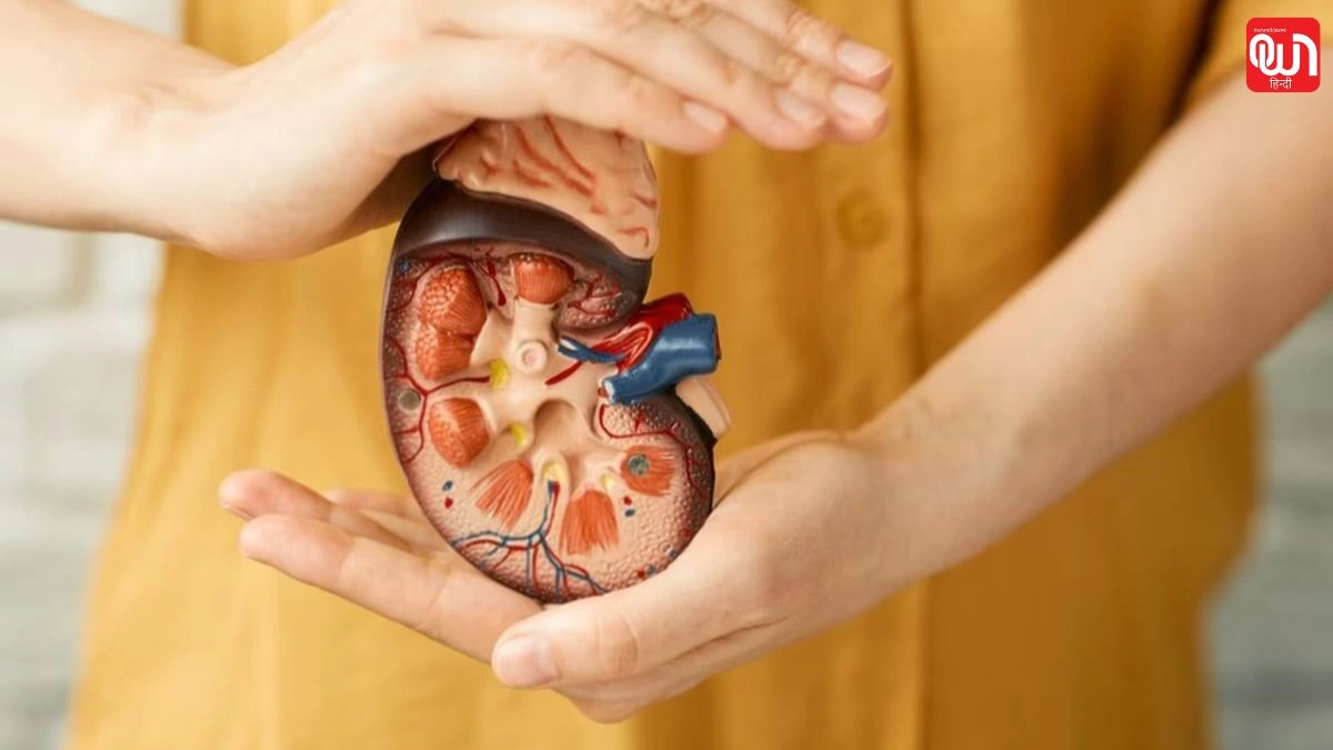 World kidney day: विश्व किडनी दिवस 2025, सही जीवनशैली अपनाएं, किडनी रोगों से बचें 1 World kidney day