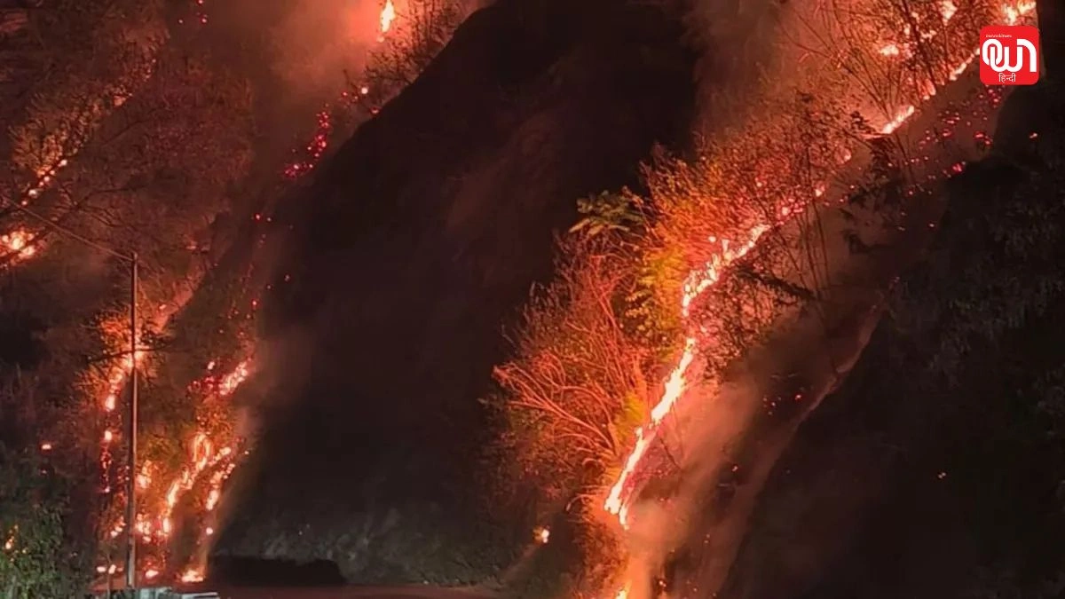 Nainital News: थुआ के जंगल में भीषण आग, हाईवे के किनारे मची अफरा-तफरी 1 Nainital News