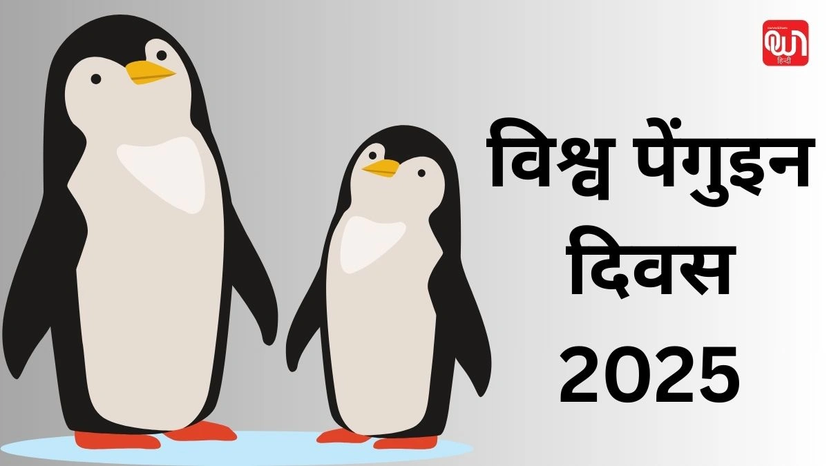 World Penguin Day: समुद्र के सिपाही, पेंगुइन दिवस पर एक नजर 1 World Penguin Day