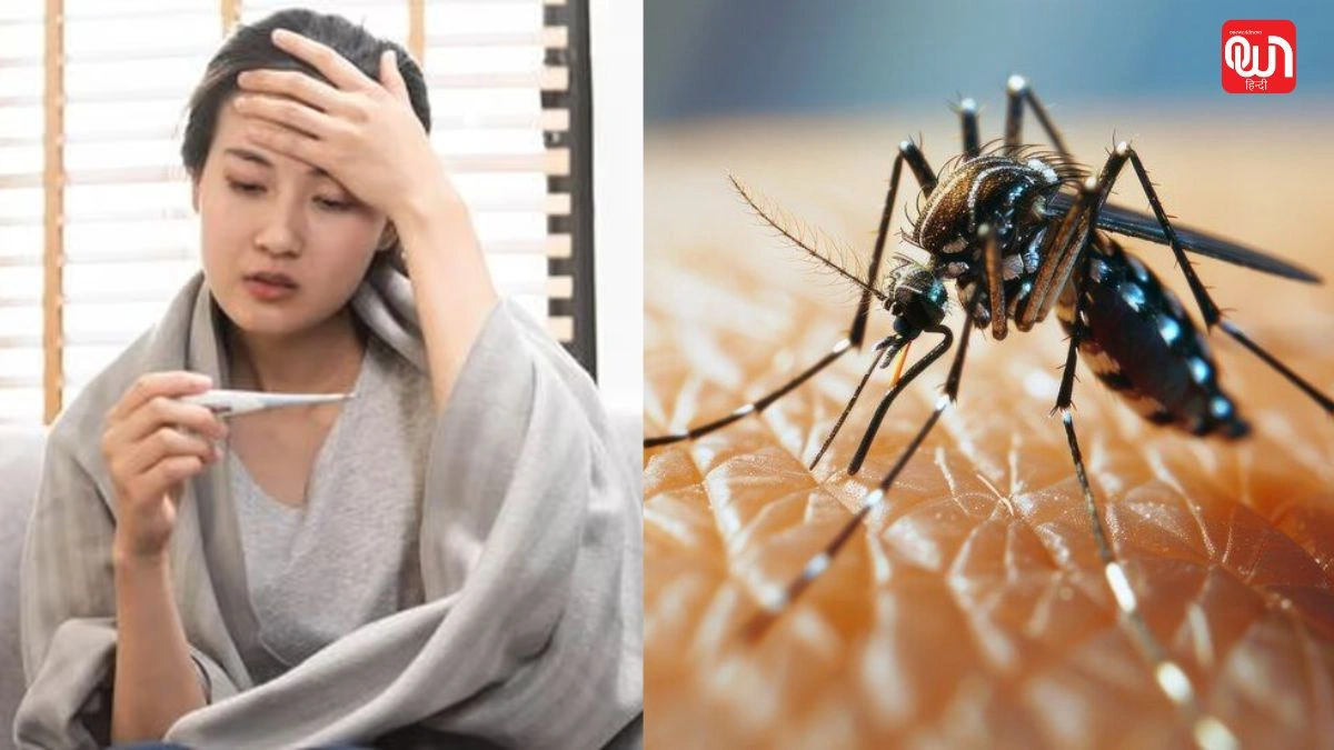 Viral Fever: तेज बुखार है डेंगू या वायरल फीवर? इन लक्षणों से करें पहचान 1 Viral Fever