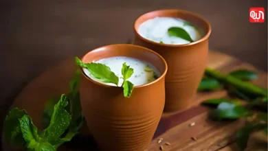 Buttermilk: स्वाद में बेमिसाल, सेहत में कमाल ; रोज़ाना छाछ पीने के 6 जबरदस्त फायदे" 6 Buttermilk