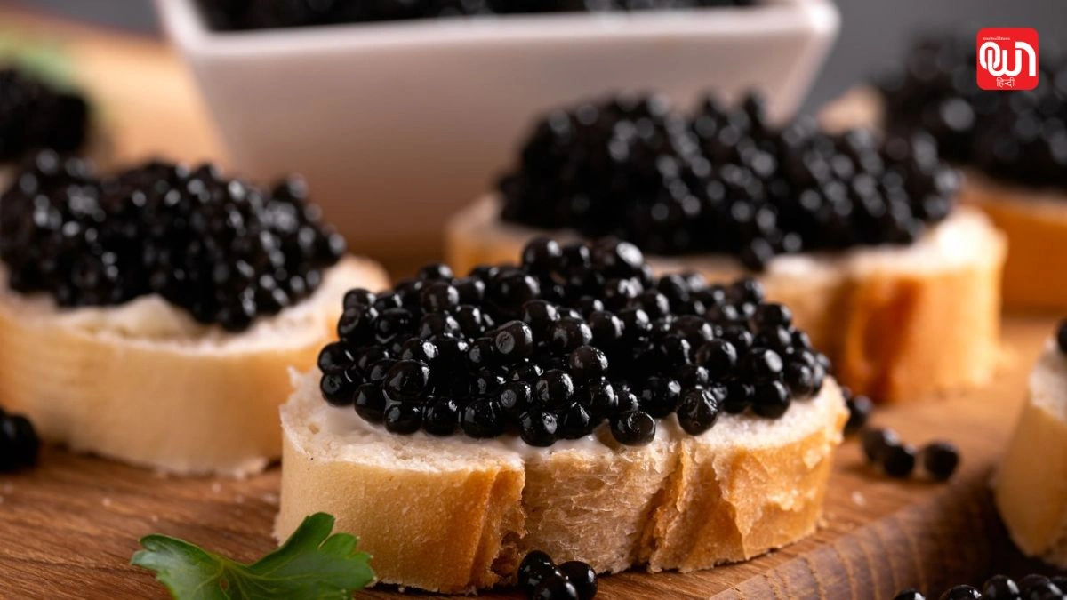 National Caviar Day: स्टर्जन मछली से थाली तक, जानिए कैवियार की दिलचस्प यात्रा 1 National Caviar Day