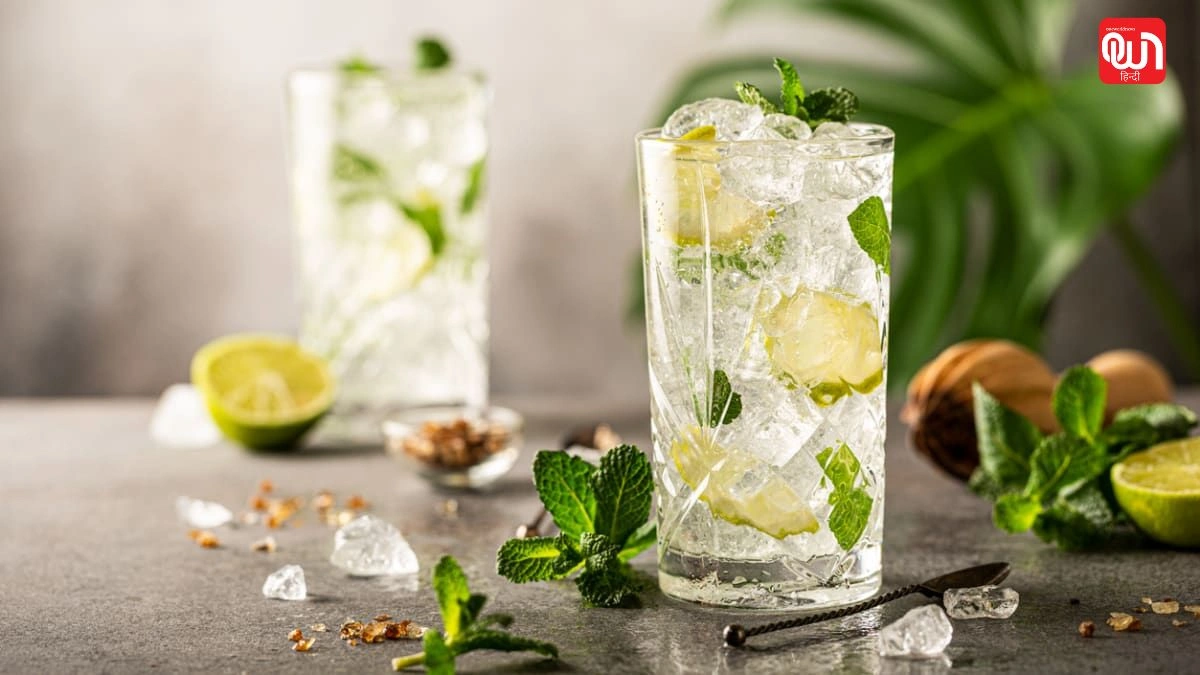 National Mojito Day: नेशनल मोजिटो डे 2025, ताजगी से भरपूर एक खास दिन 1 National Mojito Day