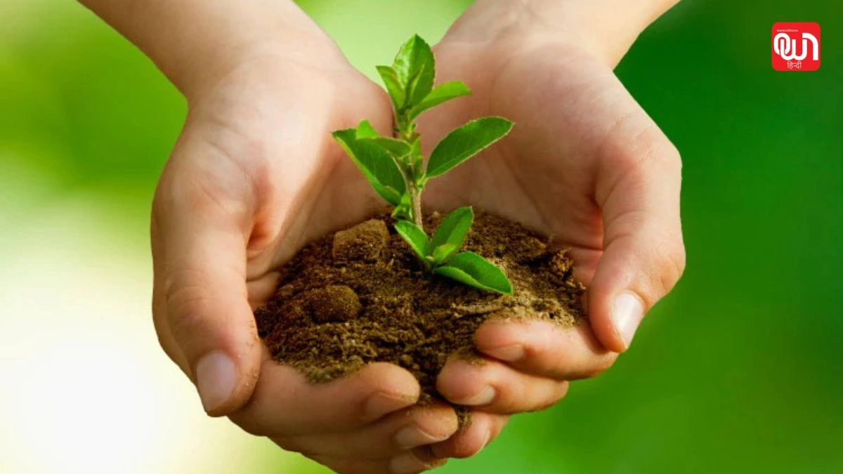 National Tree Day: पेड़ लगाओ, पर्यावरण बचाओ, नेशनल ट्री डे 2025 1 National Tree Day