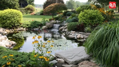 Rain Garden: बारिश का पानी अब न जाए बर्बाद! जानिए रेन गार्डन बनाने की तरीका 7 Rain Garden