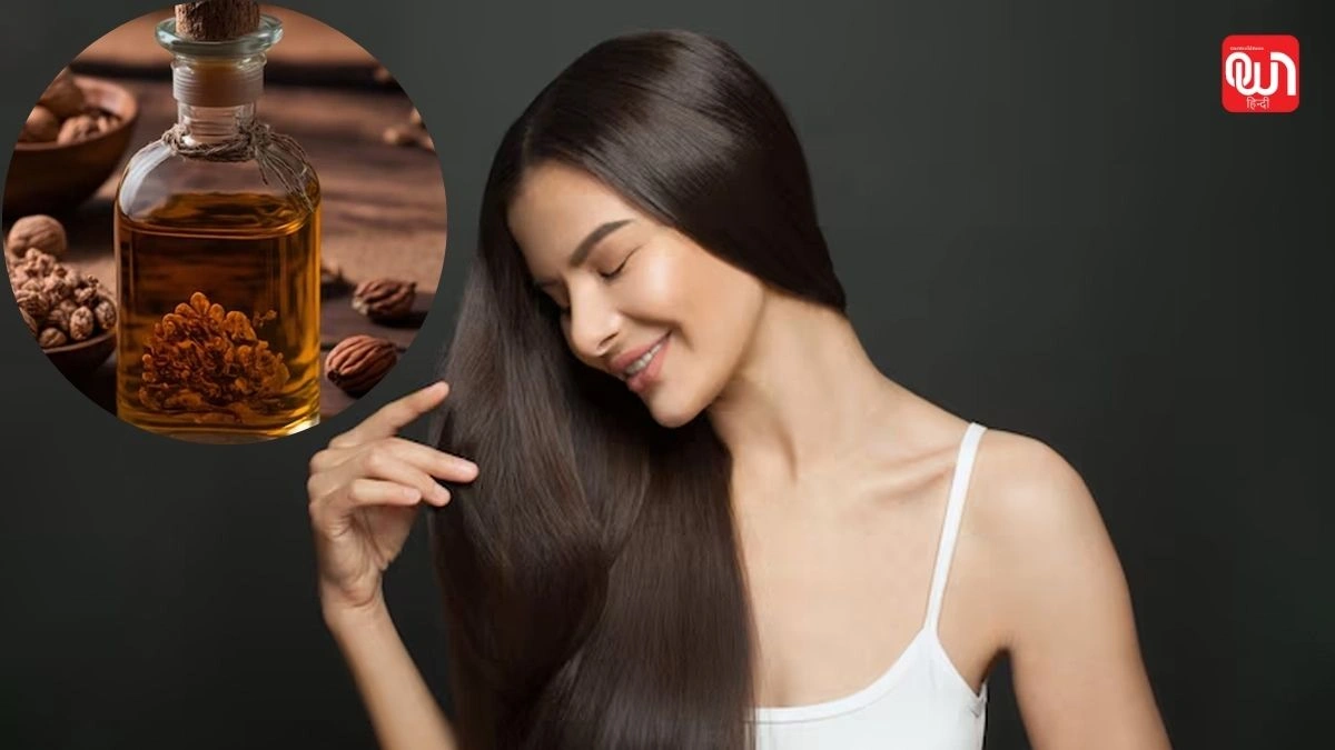 Walnut Oil: अखरोट के तेल से पाएं झड़ते बालों से छुटकारा, जानें फायदे और उपयोग तरीका 1 Walnut Oil