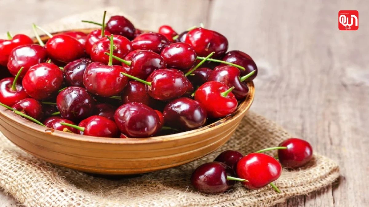 Benefits of cherries: हर दिन चेरी खाने से मिलते हैं ये 5 जबरदस्त हेल्थ बेनिफिट्स 1 Benefits of cherries