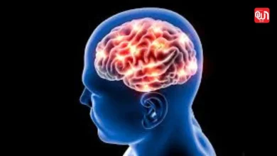Brain Health: ब्रेन हेल्थ के लिए 5 बेहतरीन सप्लीमेंट्स, जानें विज्ञान क्या कहता है? 2 Brain Health
