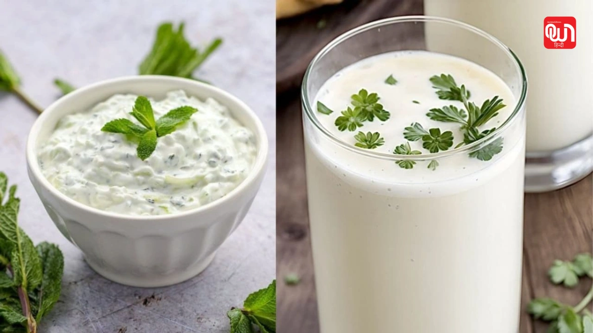 Healthy Lifestyle: दही और छाछ में से कौन है सेहत, पाचन के लिए फायदेमंद? 1 Healthy Lifestyle