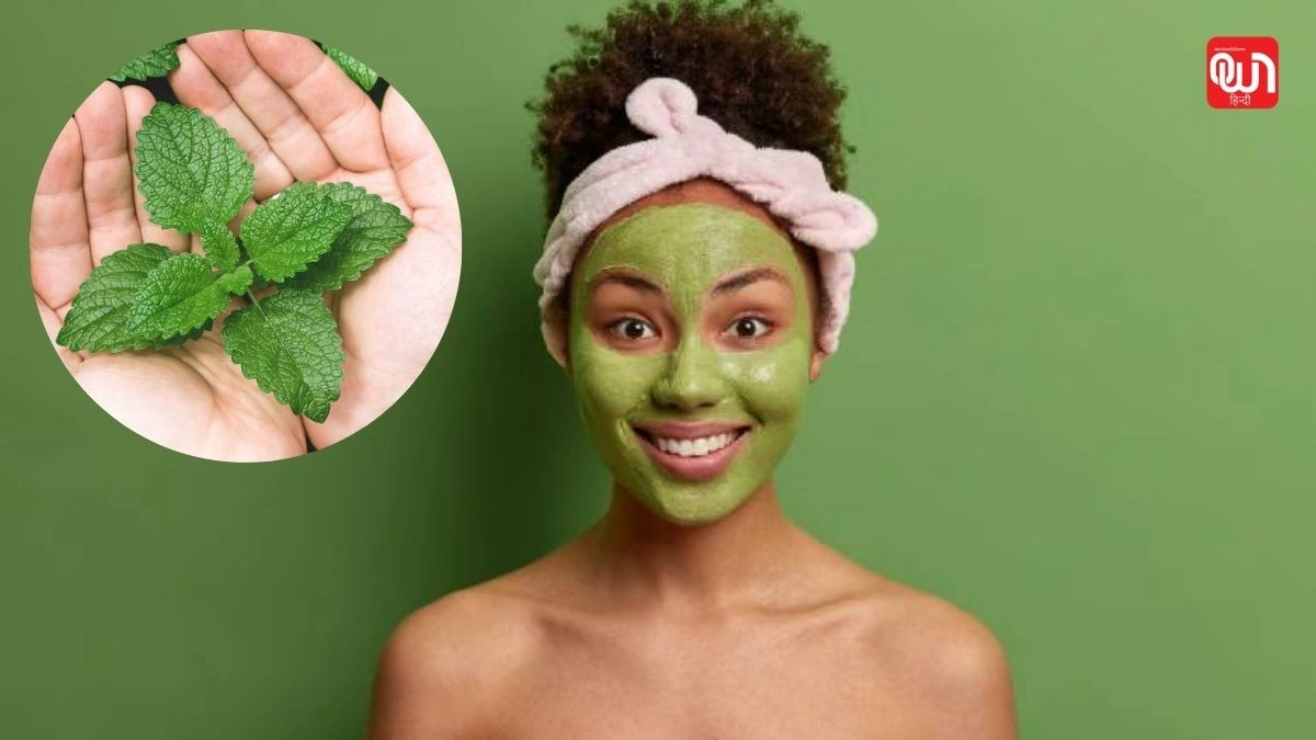 Homemade mint face pack: चेहरे की खूबसूरती बढ़ाने वाला पुदीना फेस पैक, जानें बनाने का आसान तरीका 1 Homemade mint face pack