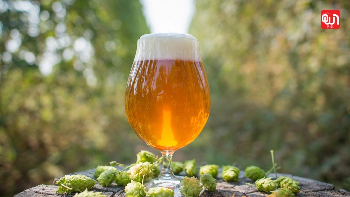 India Pale Ale Day: इंडिया पेल एले डे 2025, बीयर प्रेमियों के लिए एक खास उत्सव 1 India Pale Ale Day