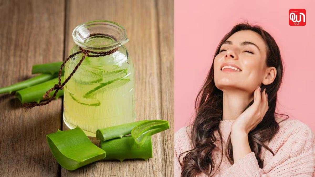 Aloe Vera Gel: रात भर Aloe Vera Gel लगाने से क्या होता है? जानिए स्किन के चमत्कारी फायदे 1 Aloe Vera Gel