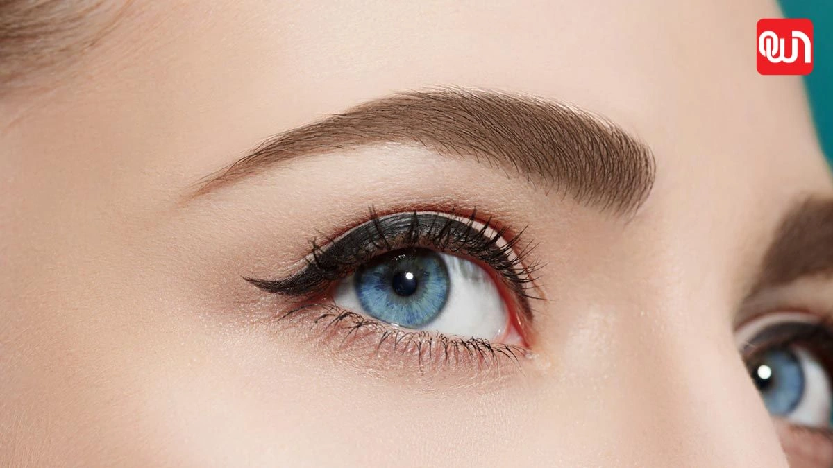 Eyebrow growth Tips: आईब्रो को मजबूत और घना बनाने के लिए वरदान तेल और उपाय 1 Eyebrow growth Tips