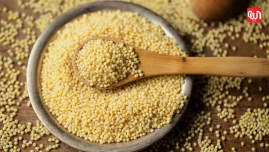 Health benefits of jowar: ज्वार के अनोखे फायदे, स्वास्थ्य के लिए जरूर करें डाइट में शामिल 7 Health benefits of jowar