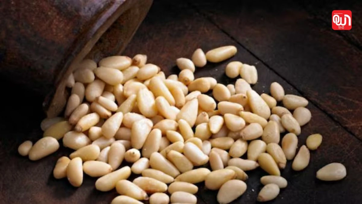 Pine Nuts Benefits: पोषक तत्वों से भरपूर चिलगोजे के 7 चमत्कारी फायदे जो आपको हैरान कर देंगे! 1 Pine Nuts Benefits