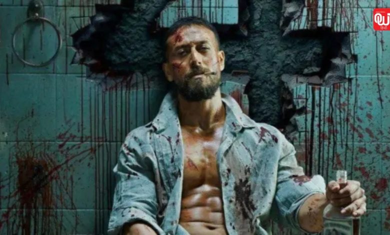 Baaghi 4 Film Review