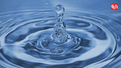 World Water Monitoring Day