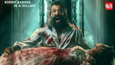 Baaghi 4 OTT Release