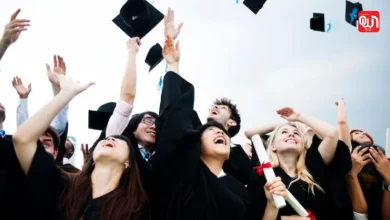 International Scholarship