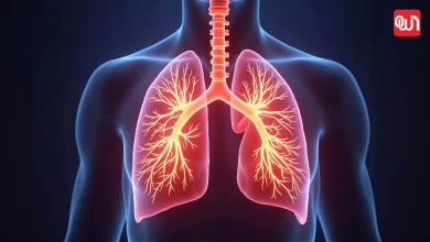 Lung Health Day: लंग हेल्थ डे 2025, फेफड़ों को रखें मजबूत, हर सांस में हो सेहत का अहसास 5 Lung Health Day