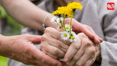 Sweetest Day: स्वीटेस्ट डे 2025, प्यार, दया और मिठास बांटने का दिन 8 Sweetest Day