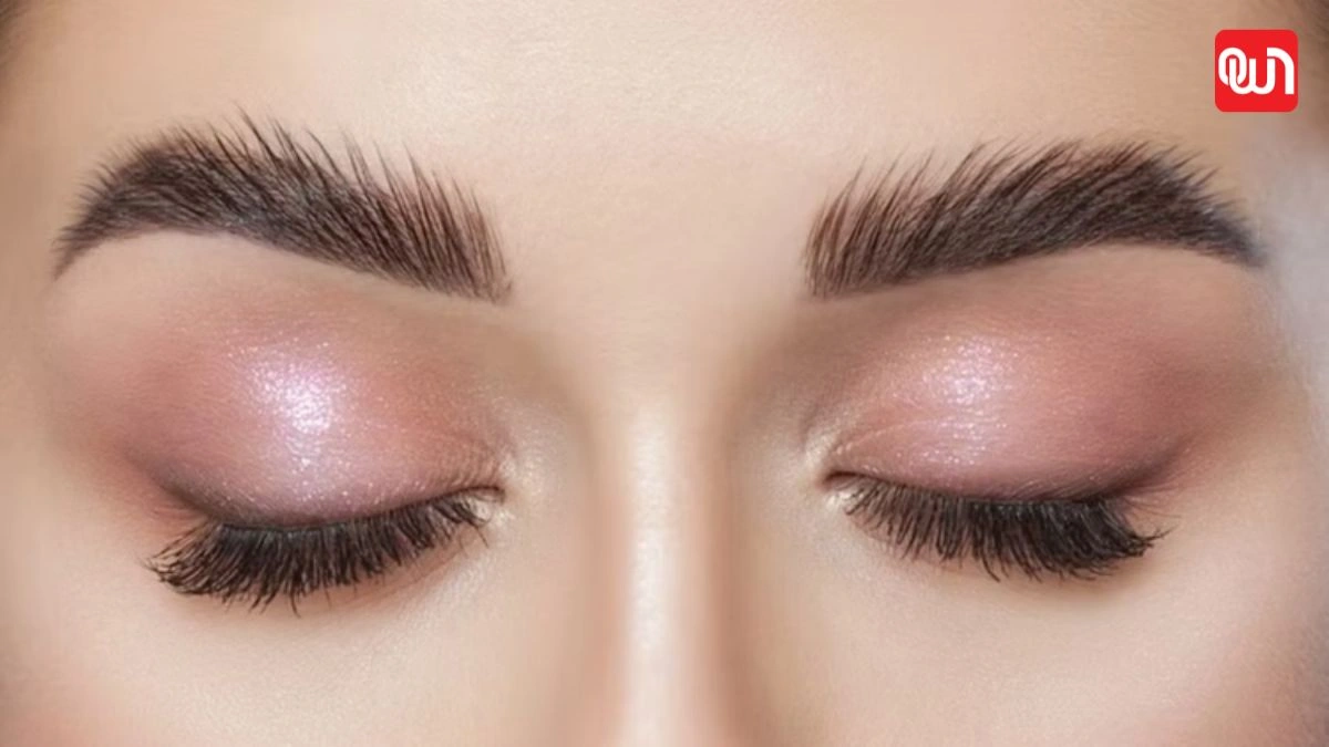 Eyebrow Growth Tips: दूध और दो घरेलू चीजों से पाएं घनी, काली और खूबसूरत आइब्रो, जानें तरीका 1 Eyebrow Growth Tips