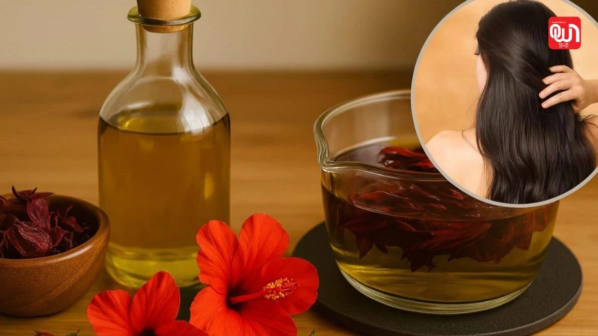 Hibiscus Hair Oil: गुड़हल का तेल, बालों को बनाएं मजबूत, घने और शाइनिंग जानिए फायदे 1 Hibiscus Hair Oil
