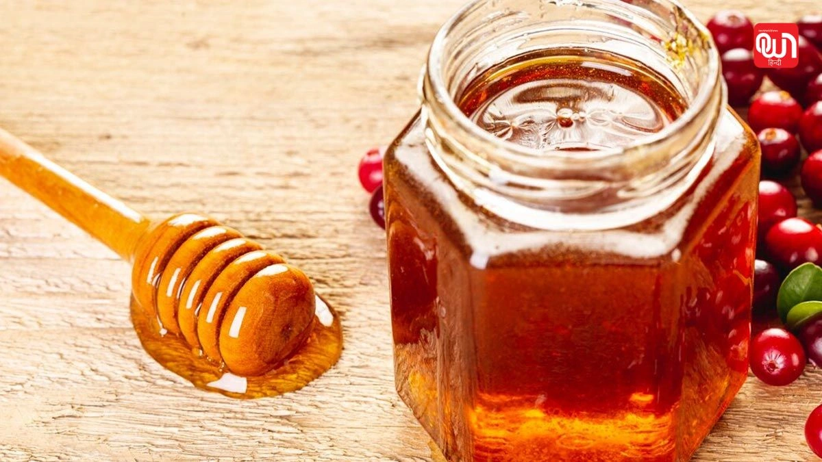 Homemade Honey Sugar Lip Scrub: सर्दियों में होंठों को रखें सॉफ्ट और पिंक, ट्राई करें 7 हनी-शुगर लिप स्क्रब 1 Homemade Honey Sugar Lip Scrub