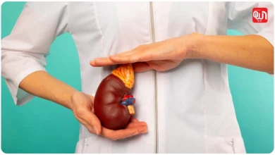 Kidney Damaging Habits