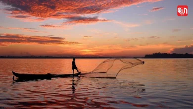 World Fisheries Day: विश्व मत्स्य दिवस 2025, समुद्री जीवन के संरक्षण और मछुआरों के सम्मान का प्रतीक 6 World Fisheries Day