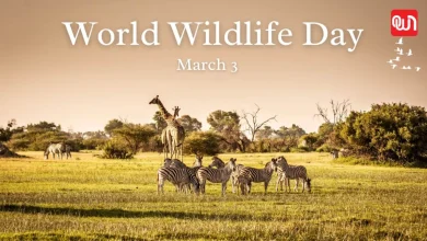 World Wildlife Conservation Day