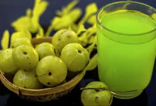 Amla Immunity Shots