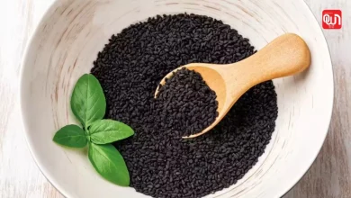 Black Cumin Seeds: कलौंजी के अद्भुत फायदे, दिल की सेहत सुधारे, BP और कोलेस्ट्रॉल करे कम 8 Black Cumin Seeds