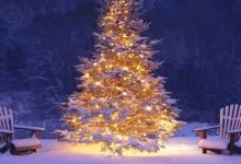 Christmas Places in India