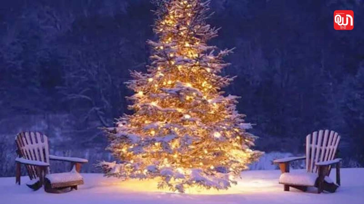 Christmas Places in India: क्रिसमस 2025, भारत में इन 10 जगहों पर बिताएं फेस्टिव सीजन 1 Christmas Places in India
