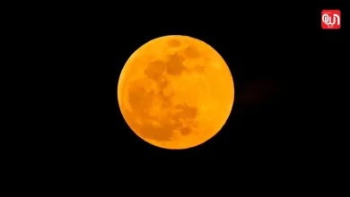 Cold Super Moon
