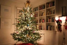 Gen Z holiday traditions