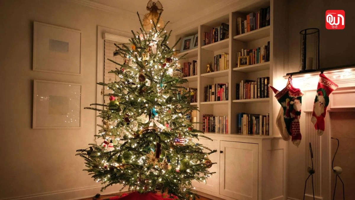 Gen Z holiday traditions: कम दिखावा, ज्यादा खुशी, मिनिमलिस्ट क्रिसमस क्यों हो रहा है पॉपुलर 1 Gen Z holiday traditions