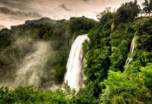 National Geographic Day 2026