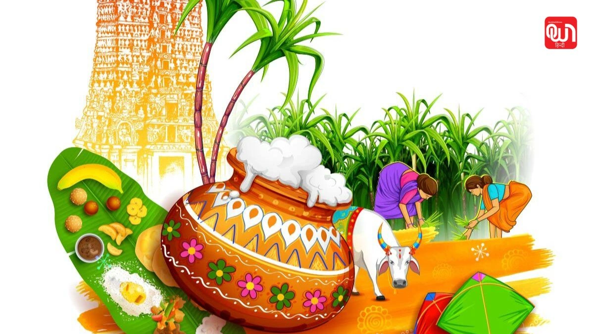 Pongal 2026: तमिलनाडु में कैसे मनाया जाता है पोंगल, जानें चार दिवसीय पर्व की पूरी गाइड 1 Pongal 2026