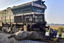 Rajdhani Express In Assam