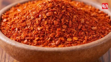Red Chilli Substitutes